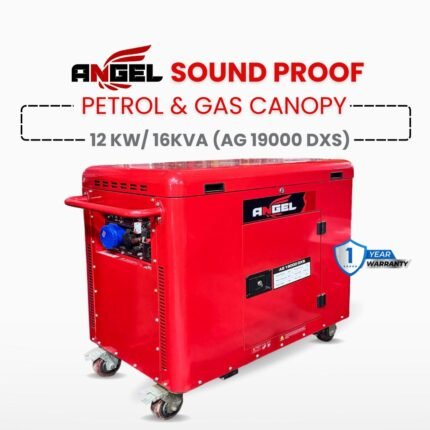 AG 19000 DXS 16 KVA ( 12000 Watts) Petrol + Gas Canopy Generator